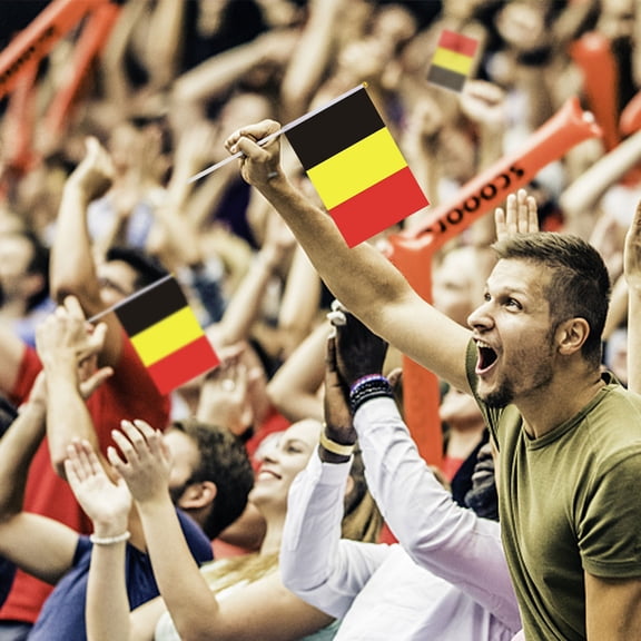 Holding The Flag Of Sports Clubs Fans Festival Activis Cheering Flag