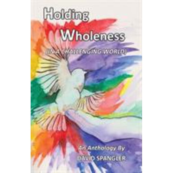 Pre-Owned Holding Wholeness : (in a Challenging World) (Paperback) 9781939790309