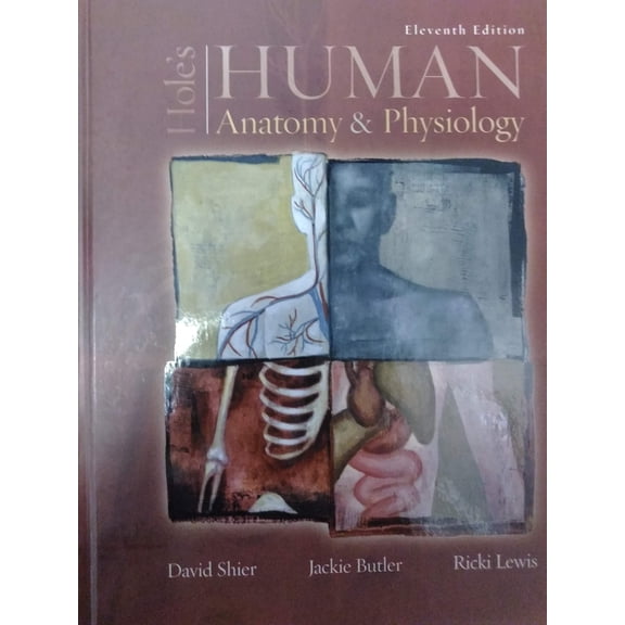 Pre-Owned Hole's Human Anatomy & Physiology