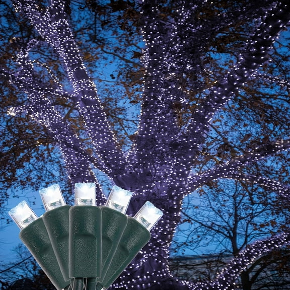 HoliScapes 4 pack - 5mm - 100 ct - Cool White LED String Lights - 4" spacing - Green wire - 33 ft long