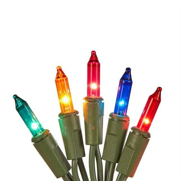 Holiday 100-Count 20.62-ft Multicolor Incandescent Plug-In Christmas String Lights Outdoor Indoor Party Use