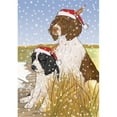 thumbnail image 1 of Holiday Boxed Cards- English Springer Spaniel, 1 of 1