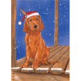 thumbnail image 1 of Holiday Boxed Cards- Irish Setter, 1 of 1