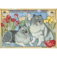 thumbnail image 1 of Holiday Boxed Cards- Keeshond, 1 of 1