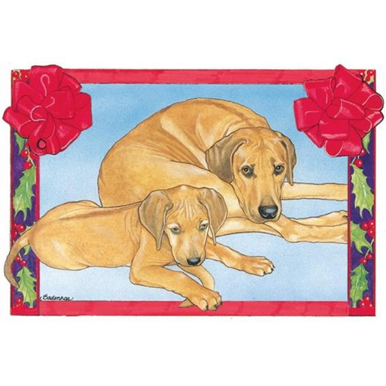 Holiday Boxed Cards- Rhodesian Ridgeback - Walmart.com