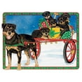 thumbnail image 1 of Holiday Boxed Cards- Rottweiler, 1 of 1