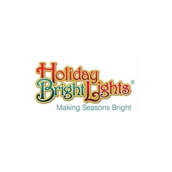 Holiday Bright Lights 136269 10L LED Vintage Patio Light
