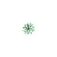 thumbnail image 1 of Holiday Bright Lights 251633 12 in. LED Shimmering Sphere with Wire Branches, Green, 1 of 5