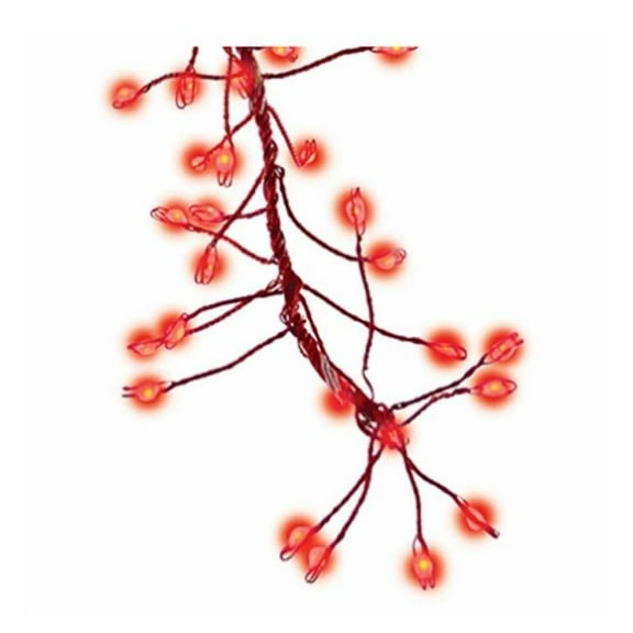 Holiday Bright Lights 266728 Christmas Micro Cluster Big Seed 216 LED Light Set, Red