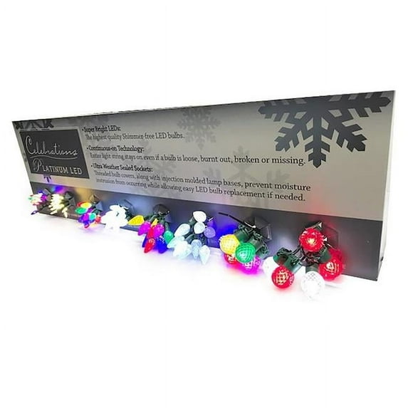 Holiday Bright Lights 9015193 Celebrations Platinum LED Light Display, Assorted Color