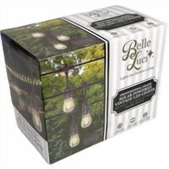 Holiday Bright Lights Belle Luci S14 Solar String Light Set - Pack of 2 Bulk Value Case