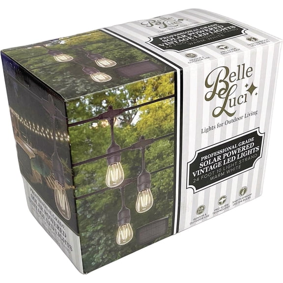 Holiday Bright Lights Belle Luci S14 Solar String Light Set - Pack of 2