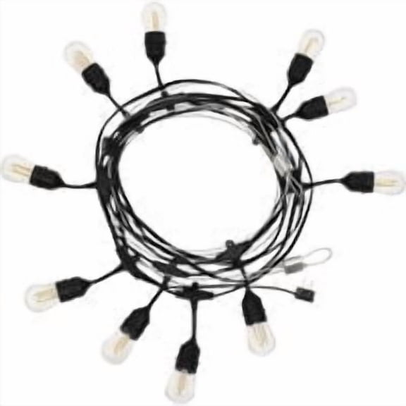 Holiday Bright Lights Belle Luci S14 String Light Set - Pack of 10