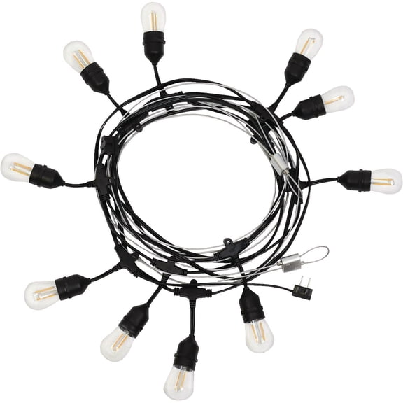 Holiday Bright Lights Belle Luci S14 String Light Set - Pack of 2