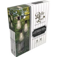 Holiday Bright Lights Belle Luci ST40 Clear Edison Style String Light Set - Pack of 10