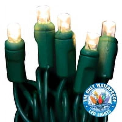 Holiday Bright Lights LEDBX-WA50-WW6 LED Christmas Light Set, 50 Lights