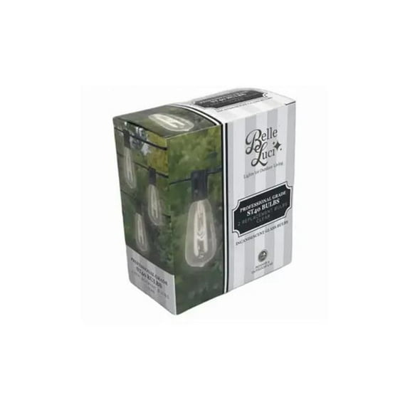 Holiday Bright Lights 136260 ST40 Replace Bulb, Clear - Pack of 2