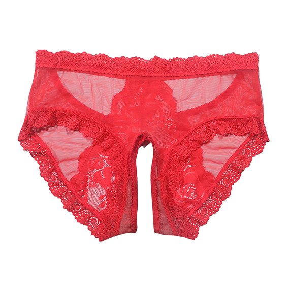 Holiday Clearance!HomeGardon Underwear for Women,Womens Underwear 2025,Women's Light and Seamless Lace Size Desire for Appeal Crotch Briefs