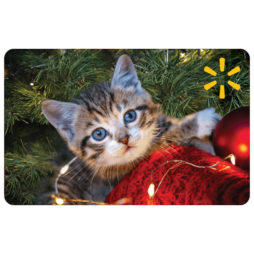 Holiday Cute Kitten Walmart Gift Card