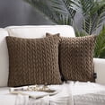 thumbnail image 1 of Holiday Deal Selection Phantoscope Quilted Velvet Braid Textured Pleated Decorative Throw Pillow Cover, 22" X 22", Brown, 2 Pack, 1 of 3