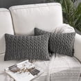 thumbnail image 1 of Holiday Deal Selection Phantoscope Quilted Velvet Braid Textured Pleated Decorative Throw Pillow Cover for Bed and Couch, 12" x 20", Dark Gray, 2 Pack, 1 of 3