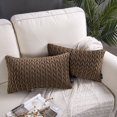 thumbnail image 1 of Holiday Deal Selection Phantoscope Quilted Velvet Braid Textured Pleated Decorative Throw Pillow Cover for Bed and Couch, 12" x 20", Brown, 2 Pack, 1 of 3