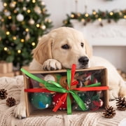 Holiday Dog Interactive Toy Festive Christmas Indoor Activity Play Soft Stocking Stuffer for Small Dogs Decorative Gift Toss Fetch Chew Carry