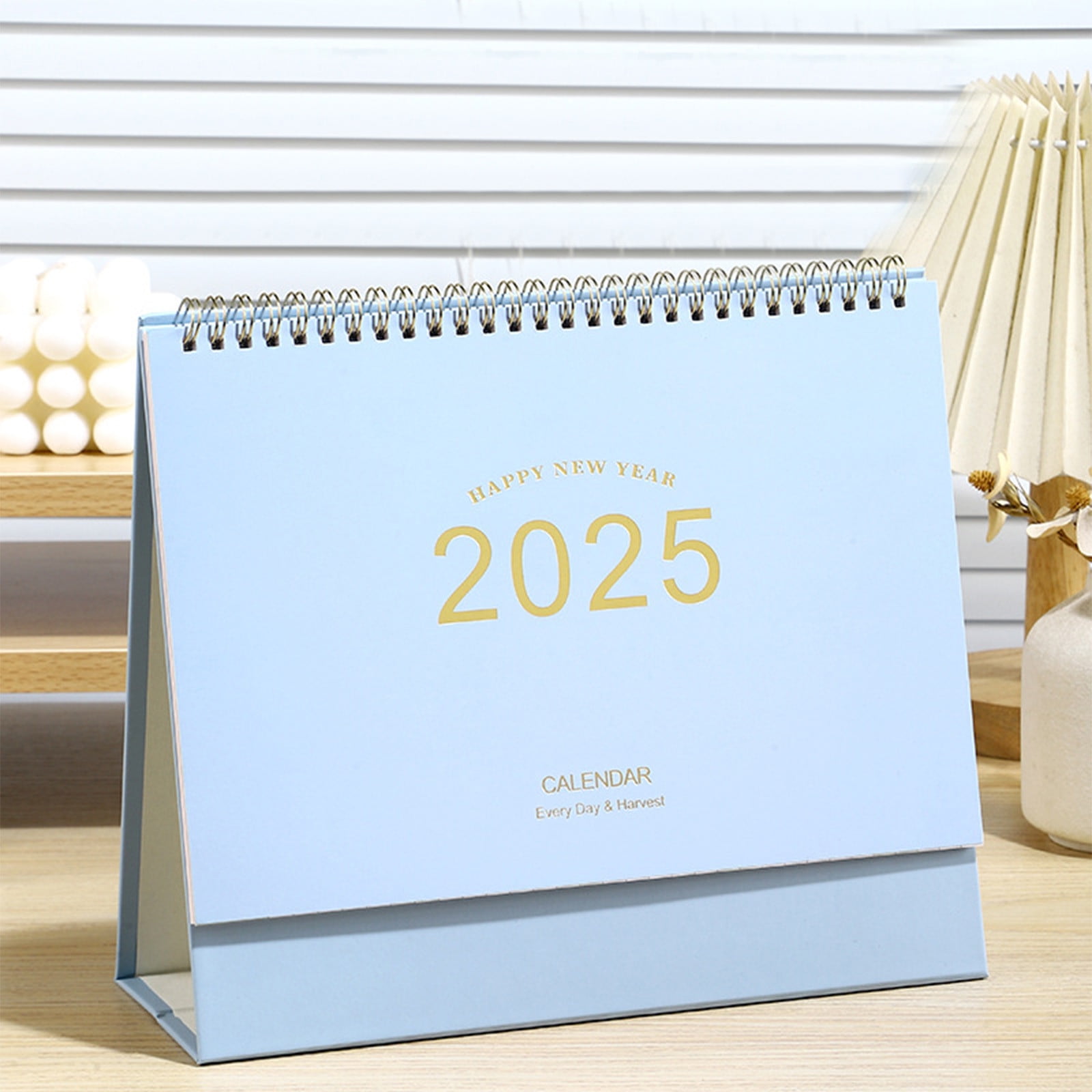 Holiday Gift Savings! Rvasteizo Home Decor, 2025 Mini Desk Calendar