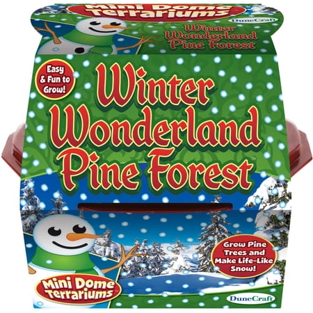 Holiday Mini Dome