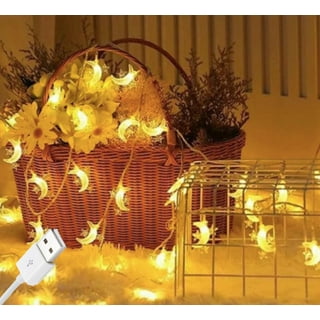 Star Bright Lights