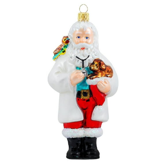 Holiday Ornaments Veterinarian Vet Santa Puppy Bird F425
