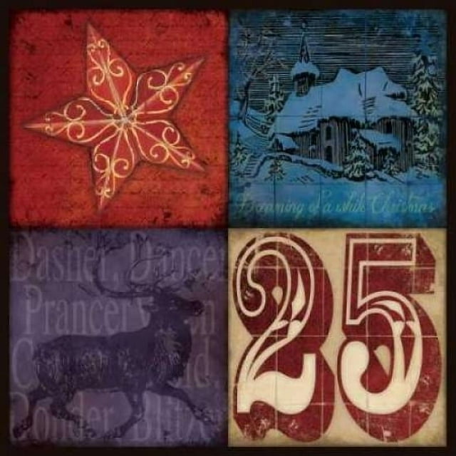 Holiday Patch II Poster Print by Stephanie Marrott (12 x 12)