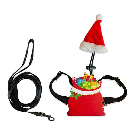 Holiday Themed Reptiles Harnesses Set Padded Vests With Detachable Leashes For Secure Control