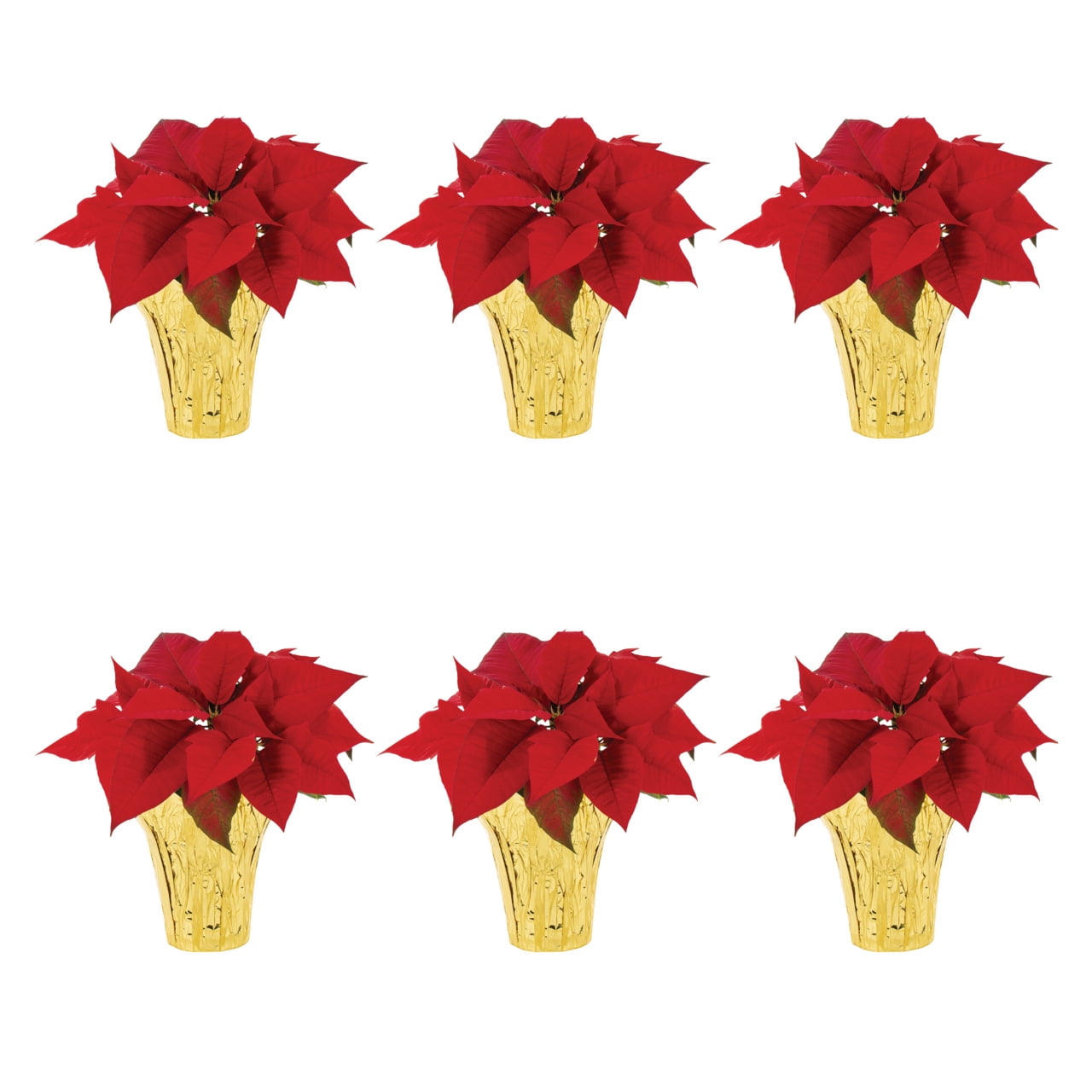 Holiday Time 1PT Red Poinsettia Live Annual Plant Sun 6-Pack