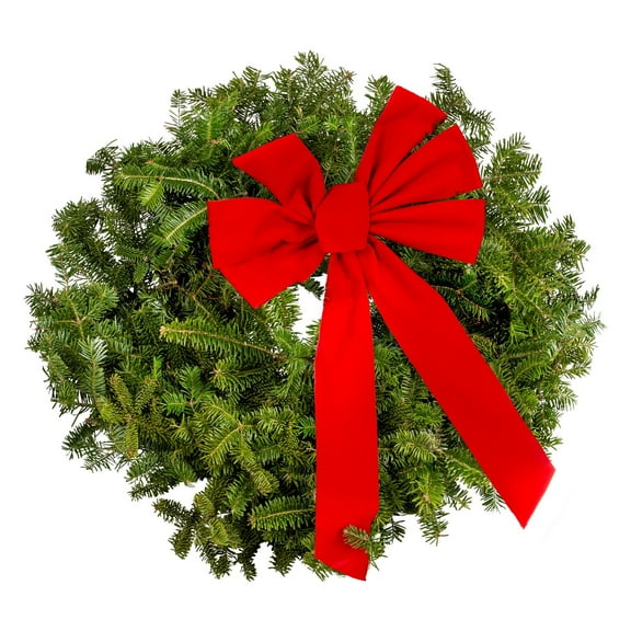 Holiday Time 20'' Fraser Fir Living Wreath Real Greens Bow Indirect Light