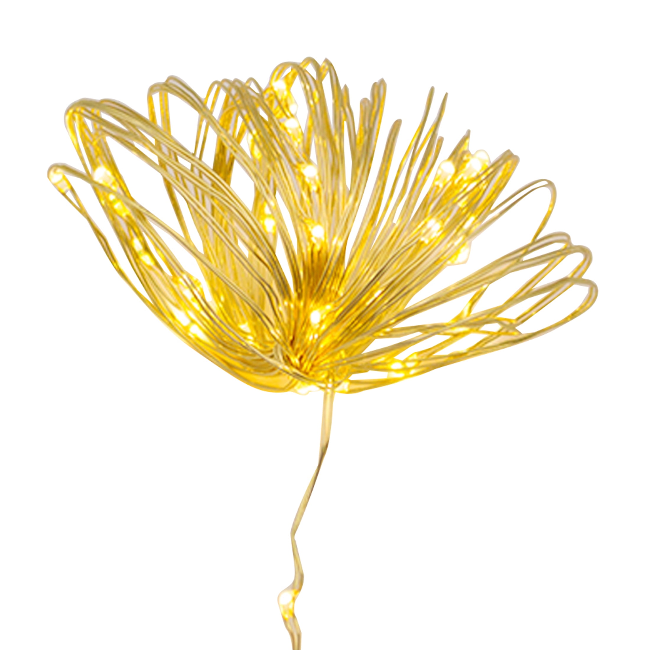 Holiday Time 36 Gold Wire Warm White Led Lights