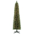 Holiday Time 7Ft Pre Lit Duncan Fir 03 - v88cp8n