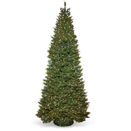 Holiday Time 9ft Prelit Pole Fir Tree