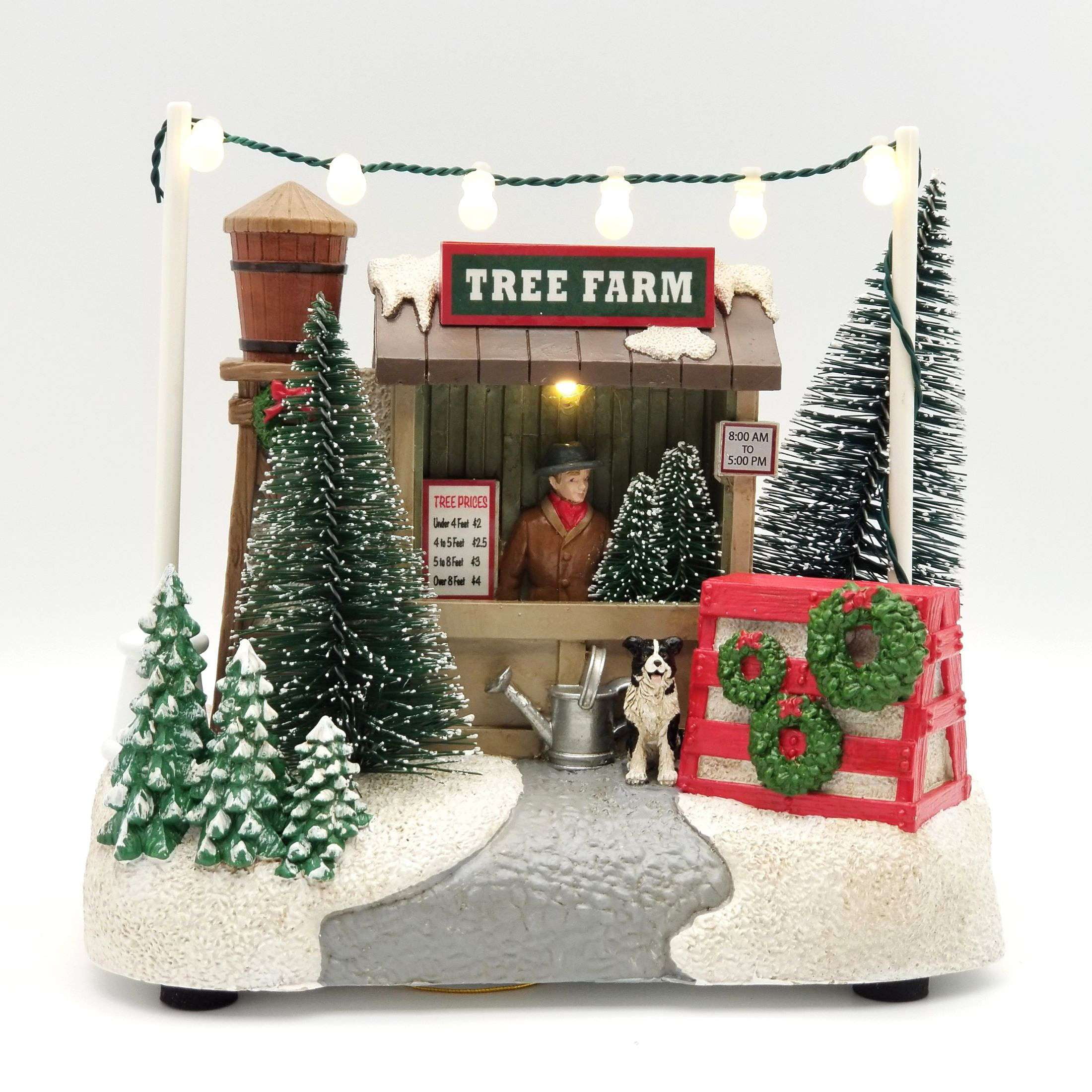 Multicolor Tree Farm Multicolor Tree Farm