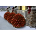 Holiday Time Christmas Net Light Set Red Bulb,150 Count