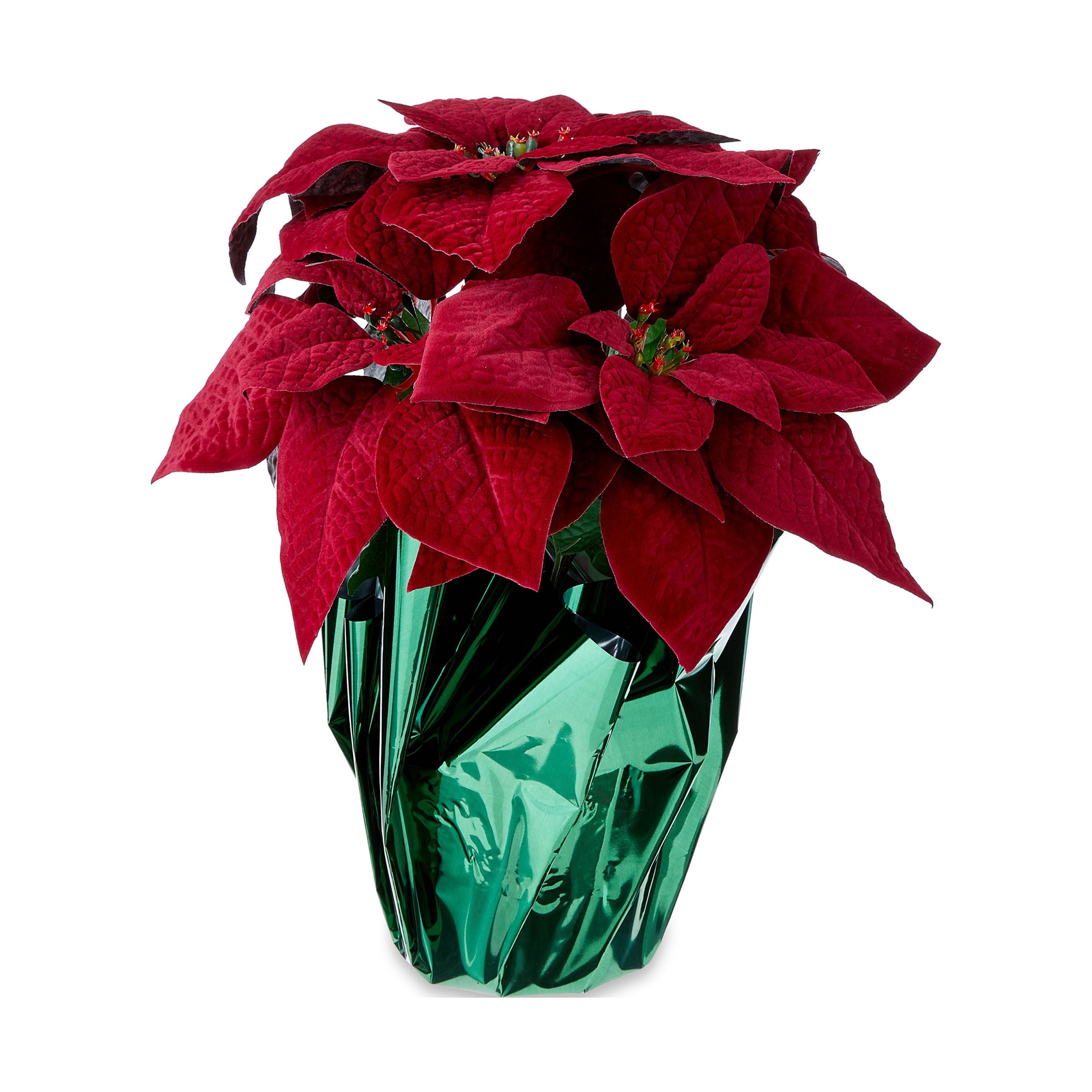  Dolicer 6 Pack Artificial Poinsettia Flowers Red Poinsettias  Bushes 15 Artificial Christmas Flowers with Stems Silk Poinsettia Flowers  Bouquet for Indoor Outdoor Home Porch Garden Decorations : Home & Kitchen