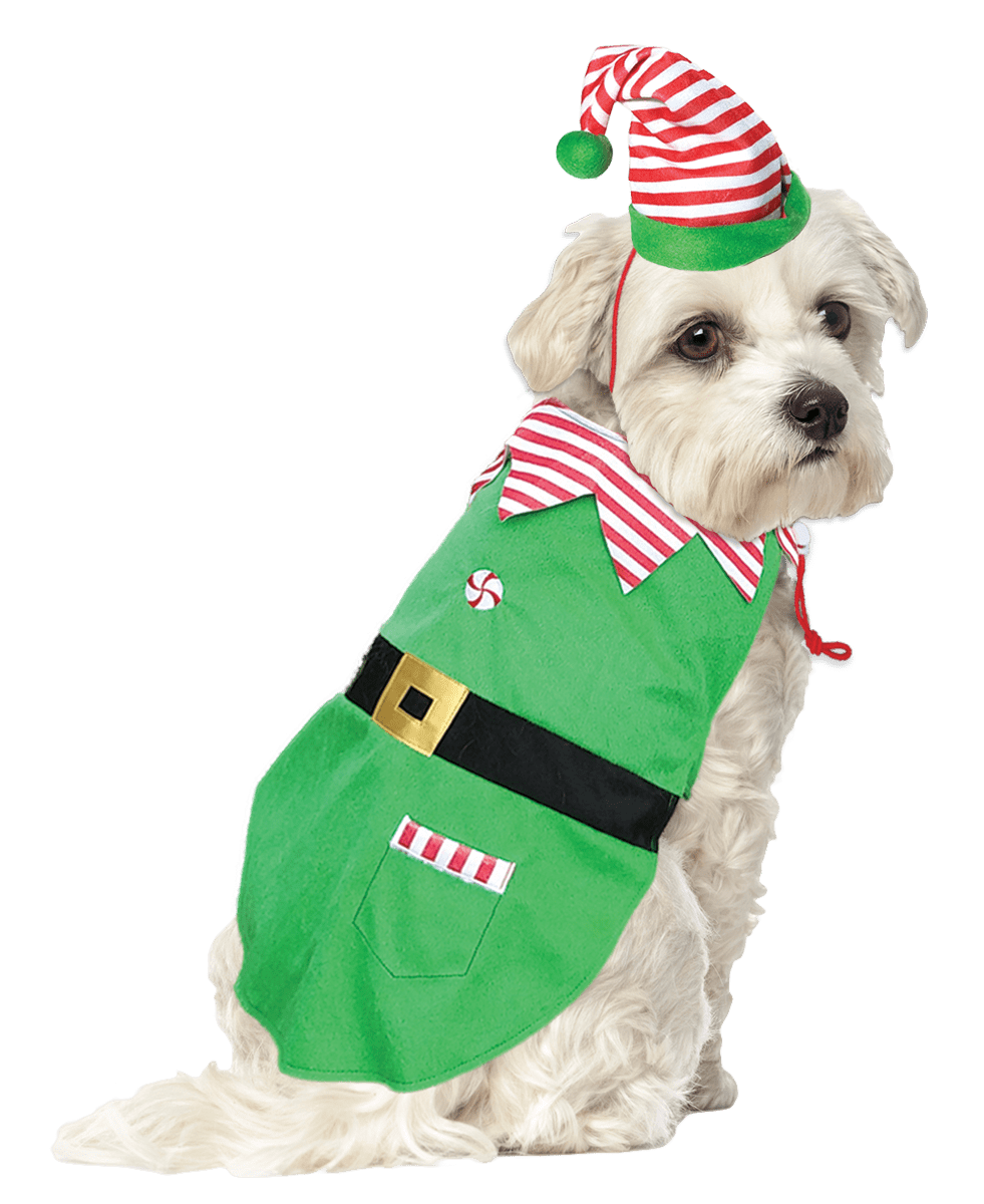 Holiday Time Dog Costume, Elf, X-Small