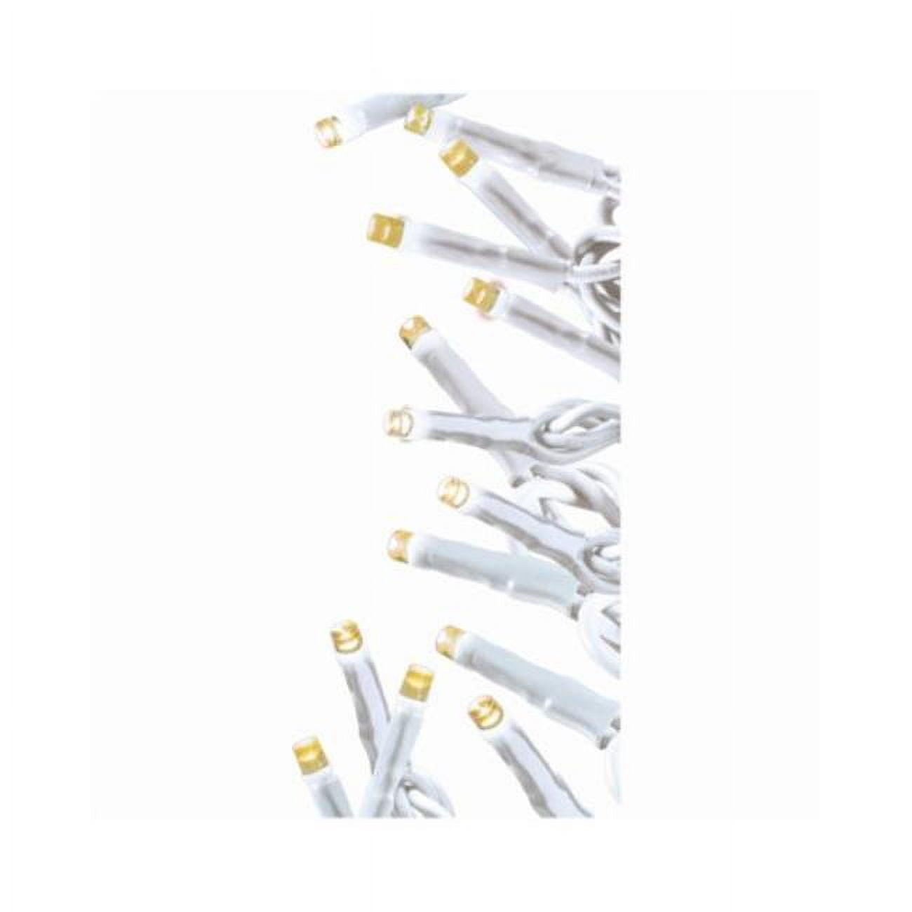 Holiday Wonderland 100 Twinkle Lights, Warm White Pack of 12