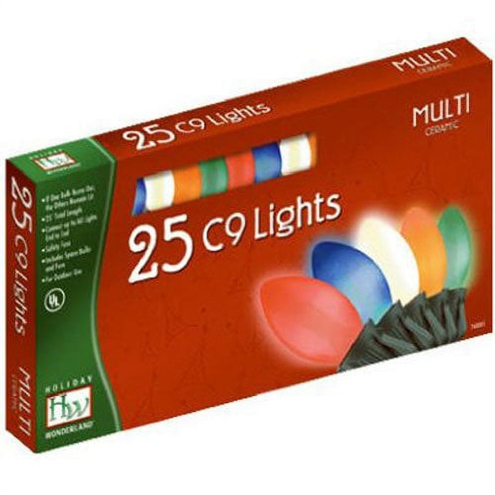 Holiday Wonderland 2924-88 Christmas Lights Set Multi-Color