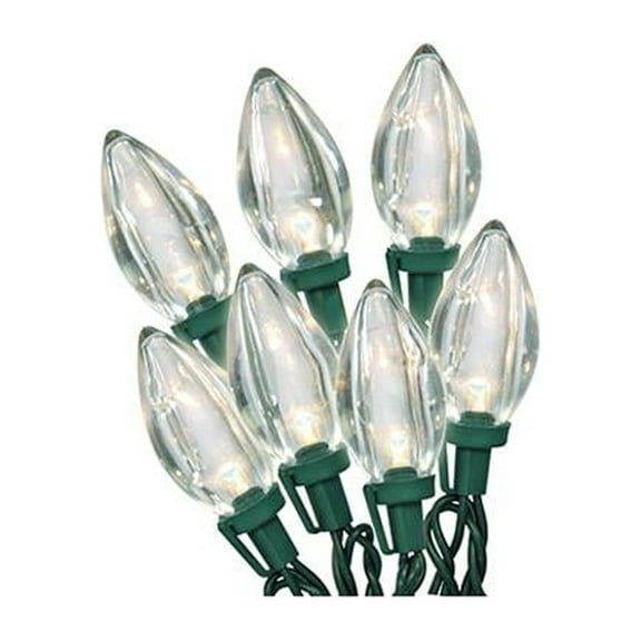 Holiday Wonderland 2935-88A Christmas LED 25-Light Set, C9, Warm White - Quantity 1