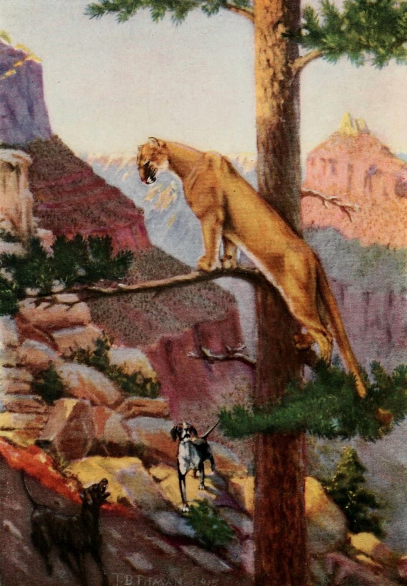 Holidays in the open 1916 Grand Canyon Canvas Art - Theodore B Pitman (18 x 24)