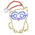 thumbnail image 1 of CC Christmas Decor LED Lighted Christmas Owl Outdoor Decoration - 19", 1 of 2