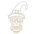 thumbnail image 1 of Holidynamics LED Outdoor Metal Framed 45in Witch Owl Halloween Display, 1 of 5