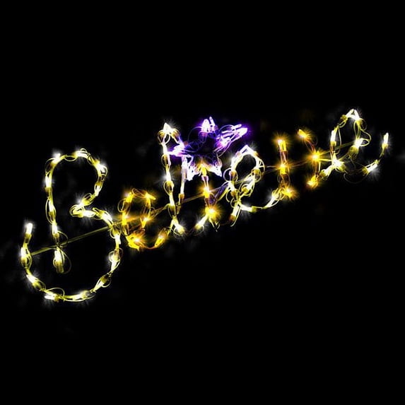 Holidynamics Warm White and Gold LED Outdoor Metal Frame 32in Believe Sign Christmas Display
