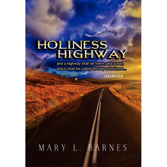 Holiness Highway (Hardcover)